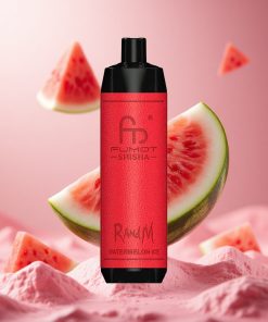 Диня Лед RandM Fumot Shisha 10000 Въздуха Тип-C Port wholesale bulgaria